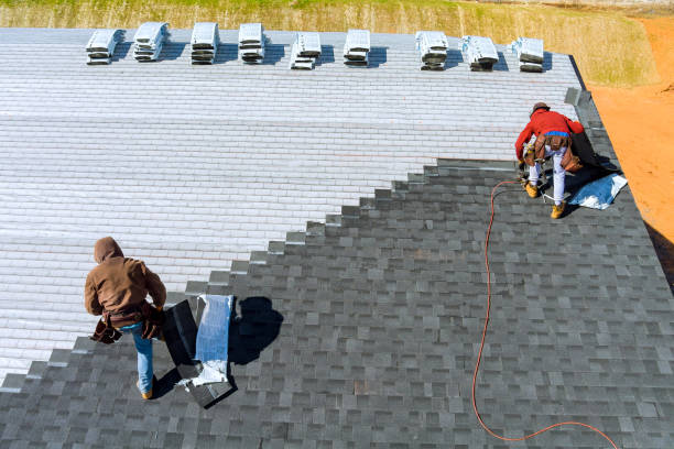 Best Roof Gutter Cleaning  in Belmont Estates, VA